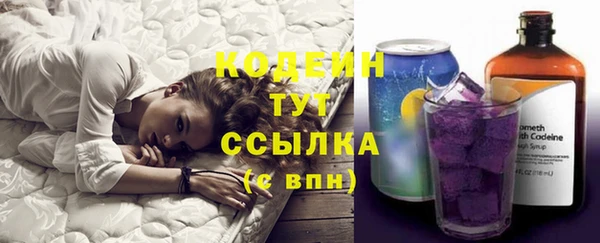 стаф Верея