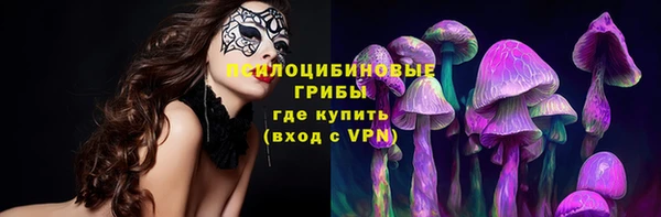 ешки Волоколамск